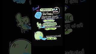 Isotonic vs Hypotonic vs Hypertonic Solution  Osmosis vs Diffusion [upl. by Tricia]