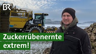 Rübenroder und Wintereinbruch in Bayern Ernte extrem  Zuckerrüben im Schnee  Unser Land  BR [upl. by Frans]