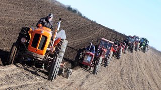 Vintage Tractor Plowing Day 2024 [upl. by Eyt312]