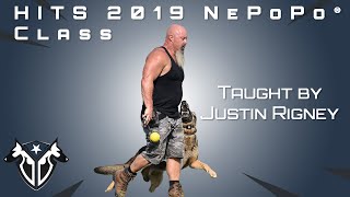 NePoPo® Class taught by Justin Rigney at HITS 2019 [upl. by Thom]