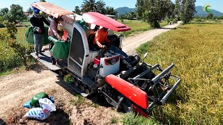 A Day Full Process Greatest Activities Harvester Kubota DC70Plus Working Skills Cropping Tools [upl. by Hamnet]