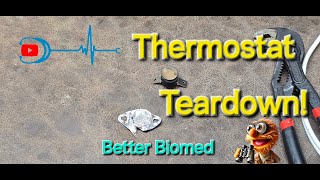 BiMetallic Thermostat Teardown [upl. by Aticnemrac995]