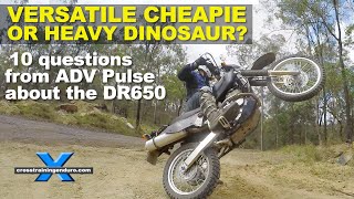 DR650 versatile cheapie or heavy dinosaur 10 questions from ADV Pulse︱Cross Training Adventure [upl. by Akehsat247]