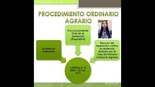 PROCEDIMIENTO ORDINARIO AGRARIO [upl. by Dalis]