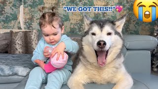 Maternal Baby Trying To Show Husky How To Feed Her Baby😭💖 CUTEST VIDEO EVER [upl. by Ahsekyw372]