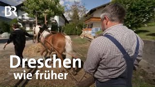 Landwirtschaft wie um 1900 Mit Ross und Pferdegöpel  Zwischen Spessart und Karwendel  BR [upl. by Oflodur]