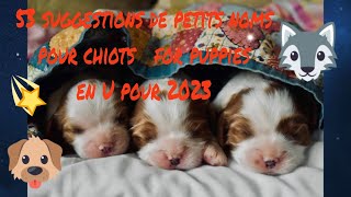 🥰🐶 quel petit nom pour mon chiot  for my puppy 53suggestions de prénoms chiots pour 2023 en U [upl. by Ainav]