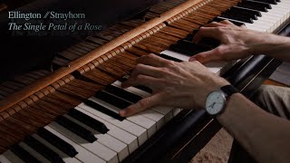 Ellington  Strayhorn — The Single Petal of a Rose — Timo Andres [upl. by Coh923]