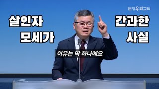 좌우를 살펴 사람이 없음을 보고 출애굽기 2장 12절 살인자 모세 하나님 개입 의식 사람 눈치 [upl. by Erastus]