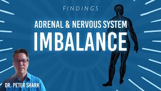 Findings Adrenal and Nervous System Imbalance [upl. by Solrak]