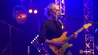 DIRE STRAITS STORY  Magazzino Musicale Merula [upl. by Buckley616]