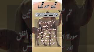 Surat Falaq  Surat Naas  Surat Ikhlas  Importance of Qul in Islam [upl. by Renaxela438]