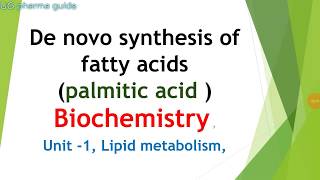 De novo synthesis of fatty acids palmitic acids  Lipid metabolism  Biochemistry  notes [upl. by Parrish260]