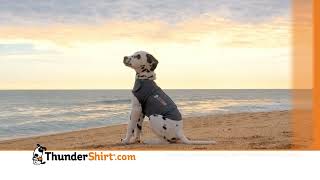 ThunderShirt® Commercial 2024 30s [upl. by Eletnahs]