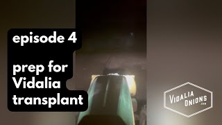 Episode 4 Field prep for Vidalia onion transplant [upl. by Grace]