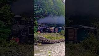 Mocănița pe Valea Vaserului mocanita steamtrain tren abur locomotive viseu shorts ldegm cff [upl. by Othello]