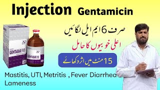 Injection جینٹا مائی سین  Gentamicin Use In Mastitis Metritis Pneumonia Diarrhea  Gentafar [upl. by Slinkman]