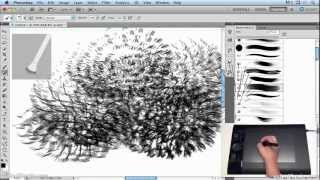 Fine Tuning and Tilt Sensitivity from Wacom MasterClass Complete Collection [upl. by Egnalos923]