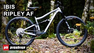 2021 Ibis Ripley AF Value Alloy Trail Ripper  First Look [upl. by Pape]