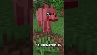 Minecraft AMA Yalan Söylüyorum 3 🤥 [upl. by Mundy]