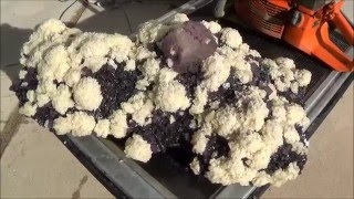 Prep Work Barite Fluorite and Sphalerite crystals Elmwood Mine Smith Co TN  Part 3 of 3 [upl. by Eednus]