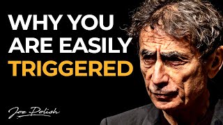 How to understand amp heal your trauma  Gabor Maté [upl. by Ztnarf21]