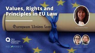 Values Rights and Principles in EU Law [upl. by Adair131]