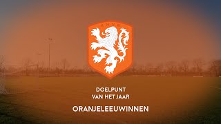 Top 5 goals OranjeLeeuwinnen 2015 [upl. by Dail925]