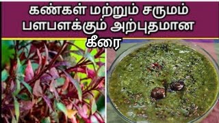 sivappu ponnanganni keerai benefits in tamilசிவப்பு பொன்னாங்கன்னி கீரை spad kitchen [upl. by Airasor255]