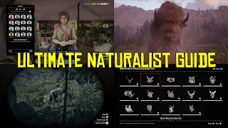 Red Dead Online Ultimate Naturalist Guide How To Make Money With The Naturalist Role [upl. by Sorrows]