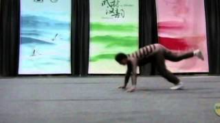 Kung Fu Fighting Scorpion Style Karate [upl. by Gellman]