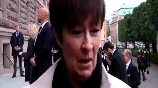 Mona Sahlin om SD protesten Barnsligt [upl. by Capp]