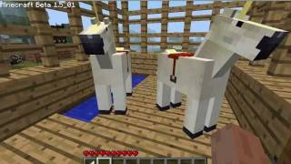 Minecraft Horse Pen [upl. by Monika]