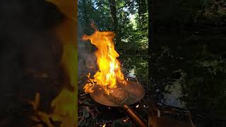 The Ultimate Rump Steak Sandwich Cooked in the Forest  Gourmet Bushcraft Recipe [upl. by Christianity187]