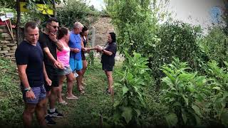 Sowing the future Agritourism and sustainable food systems in Albania [upl. by Necyla985]