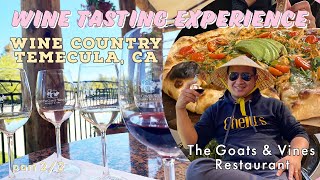 Wine Tasting Experience in Wine Country Temecula California  22 [upl. by Hahnert]