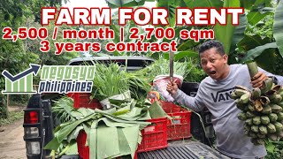 FARM FOR RENT 2500 PESOS LANG KADA BUWAN  Negosyo Philippines [upl. by Whitehouse]