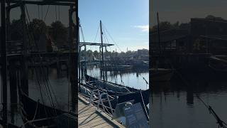 Roskilde Denmark 🇩🇰 Viking Ships Harbor travel vikings [upl. by Enerol316]