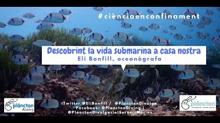 Ciència en confinament 19n Descobrint la vida submarina a casa nostra  Elisabet Bonfill [upl. by Ciri]