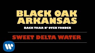 Black Oak Arkansas  Sweet Delta Water Official Audio [upl. by Firestone]