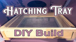 Hatching Tray  DIY Build [upl. by Ennovy]