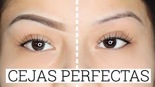 COMO HACER LAS CEJAS PERFECTAS PASO A PASO [upl. by Jodi849]