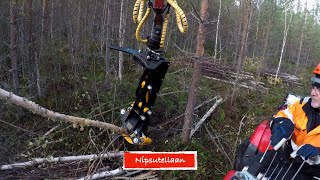 Energiarankaa mönkijällä [upl. by Arhat]