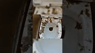 Tenants pooped and flooded toilet🤮😭 plumbing cloggeddrain blockeddrain [upl. by Stig]