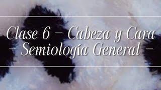 Clase 6  Cabeza y Cara  Semiología General [upl. by Wailoo545]