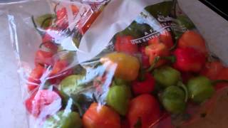 How To Store Hot Peppers For The Winter Without Losing Its Heat And Flavors [upl. by Vince]