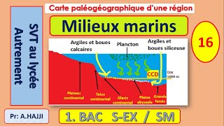 Sédimentation dans les milieux marins et niveau de compensation des carbonates CCD [upl. by Wain453]