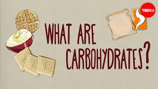 How do carbohydrates impact your health  Richard J Wood [upl. by Furlong495]