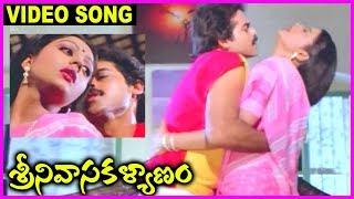 Srinivasa Kalyanam  Super Hit Video Song  Venkatesh Gowthami Bhanupriya [upl. by Muldon]