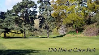 Hole 12 at Calcot Park [upl. by Ainod]